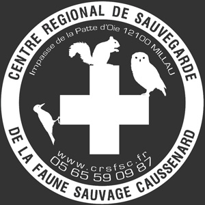 crsfsc_logo
